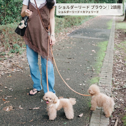 ショルダーリード ブラウン｜2頭用（ショルダーリード＋カフェリード）で散歩する様子 - Liberté Beauté