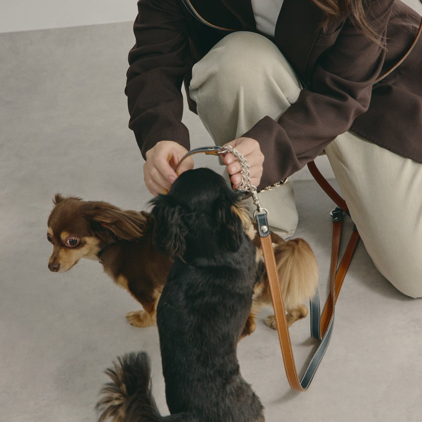 ショルダーリードを多頭飼いで使う様子 - Liberté Beauté