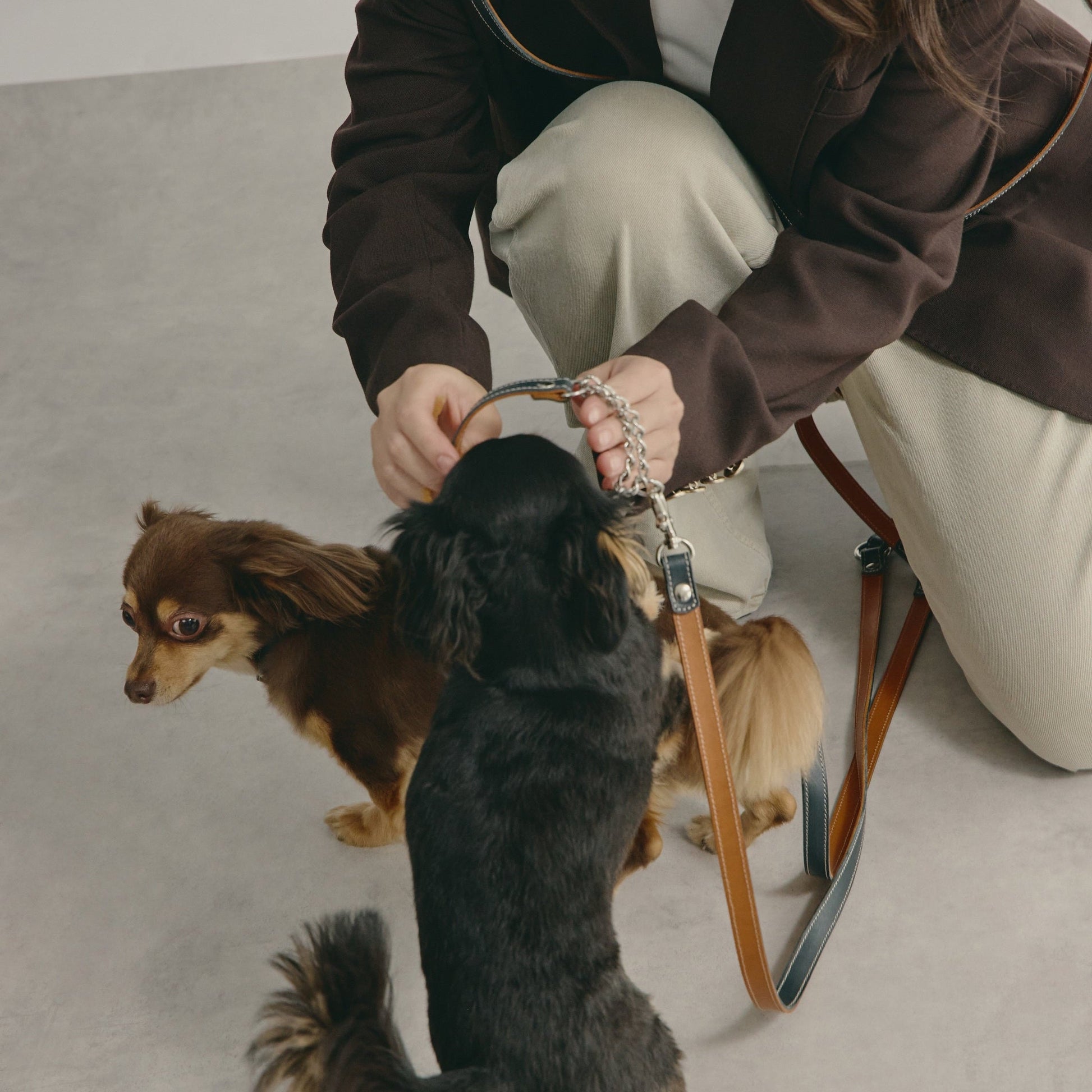 ショルダーリードを多頭飼いで使う様子 - Liberté Beauté